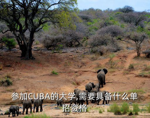 參加CUBA的大學(xué),需要具備什么單招資格