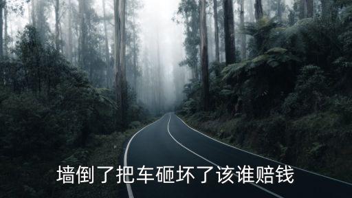 墻倒了把車砸壞了該誰賠錢