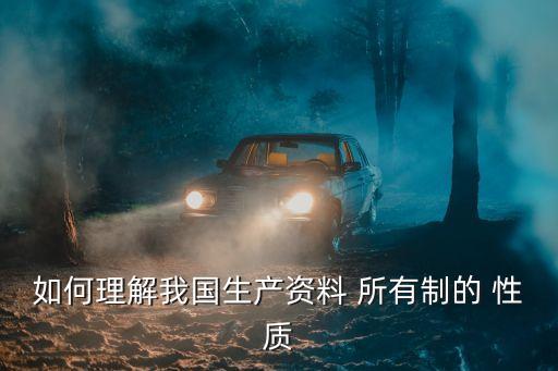 所有制性質(zhì),自然人獨(dú)資屬于什么所有制性質(zhì)