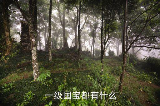  一級國寶都有什么