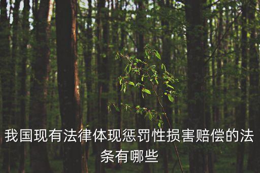 我國(guó)現(xiàn)有法律體現(xiàn)懲罰性損害賠償?shù)姆l有哪些