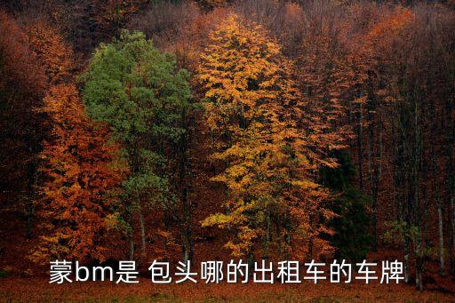 包頭車管所