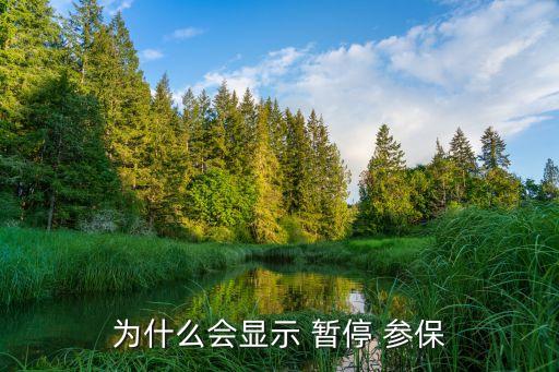 為什么會(huì)顯示 暫停 參保