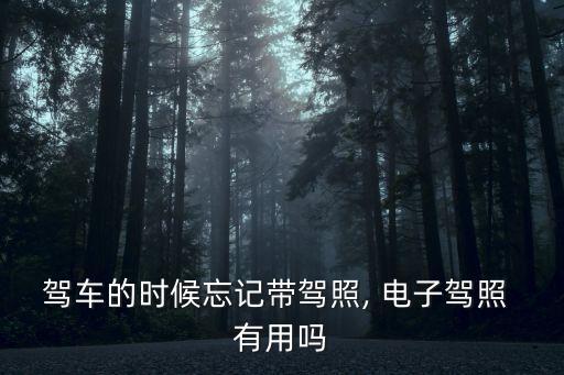 電子駕駛證有用嗎,如何下載電子版駕駛證