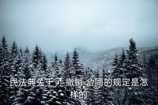 在法律上怎么撤銷(xiāo)合同,合同被無(wú)效或撤銷(xiāo)后的法律后果有