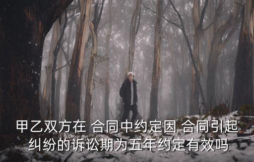 甲乙雙方在 合同中約定因 合同引起 糾紛的訴訟期為五年約定有效嗎
