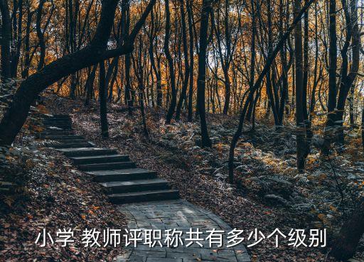 教師崗位等級,高校教師崗位等級