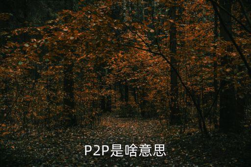 p2p是什么意思,b2b是什么意思