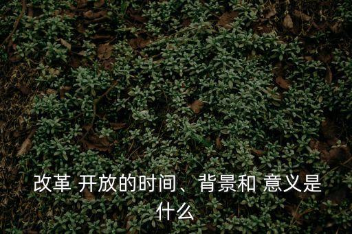 改革開放意義,重慶改革開放意義
