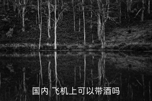飛機能帶酒嗎,貴州坐飛機能帶酒嗎