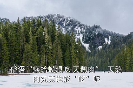 俗語“癩蛤蟆想吃 天鵝肉”, 天鵝肉究竟誰能“吃”呢