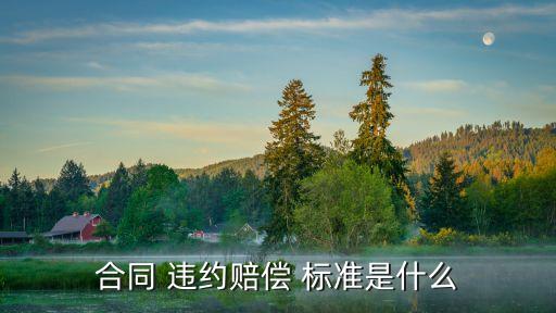 合同 違約賠償 標(biāo)準(zhǔn)是什么
