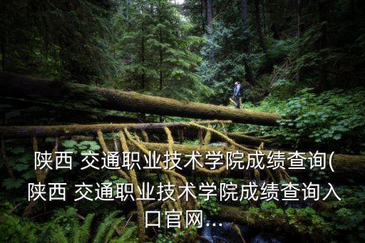  陜西 交通職業(yè)技術(shù)學院成績查詢( 陜西 交通職業(yè)技術(shù)學院成績查詢?nèi)肟诠倬W(wǎng)...