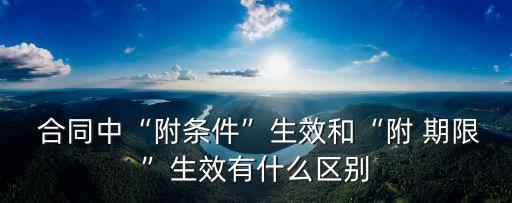 附期限合同有哪些法律效力