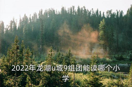 2022年龍湖u城9組團(tuán)能讀哪個(gè)小學(xué)