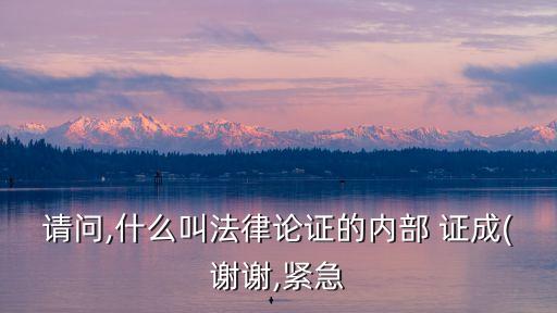 請(qǐng)問,什么叫法律論證的內(nèi)部 證成(謝謝,緊急
