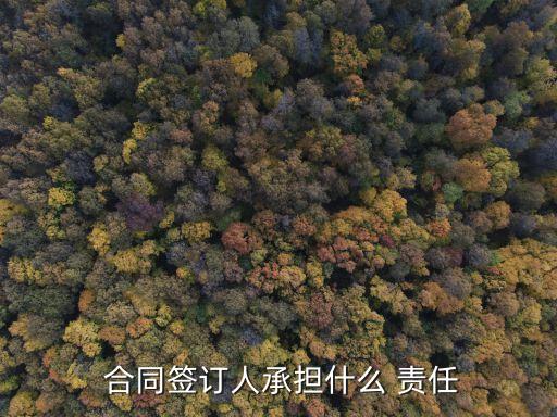  合同簽訂人承擔(dān)什么 責(zé)任