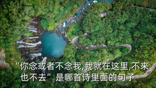 “你念或者不念我,我就在這里,不來也不去”是哪首詩里面的句子
