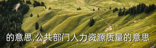 質(zhì)量的意思,公共部門人力資源質(zhì)量的意思