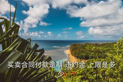 延期違約金的法律規(guī)定上限,交貨期延期違約金法律規(guī)定