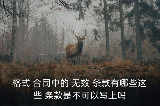 格式 合同中的 無效 條款有哪些這些 條款是不可以寫上嗎