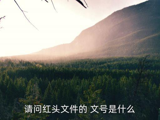 政府公文文號規(guī)范