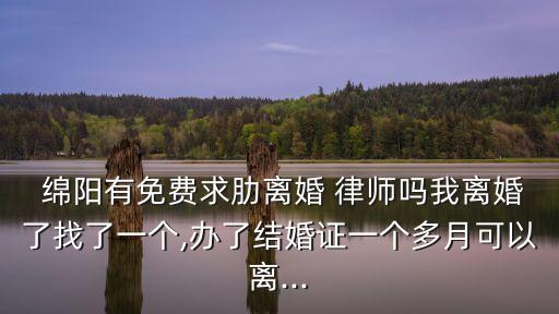 咨詢律師在線解答綿陽,勞動法律師咨詢在線解答