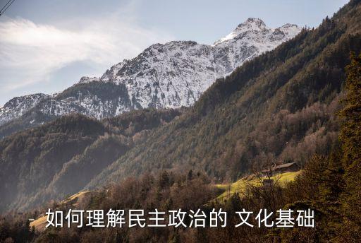 如何理解民主政治的 文化基礎(chǔ)
