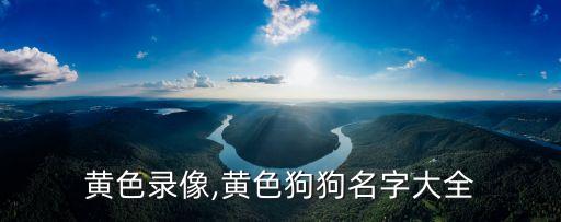 搜索黃色錄像,黃色狗狗名字大全