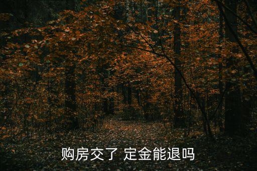 房子定金付了以后可以退嗎,一時沖動交了定金還能退回嗎