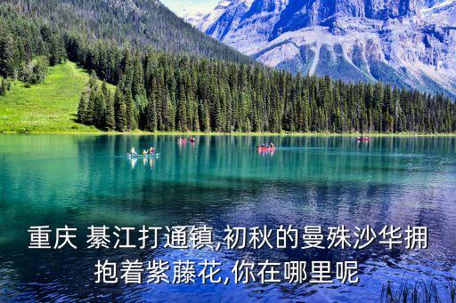 綦江在哪里,重慶的綦江在哪里
