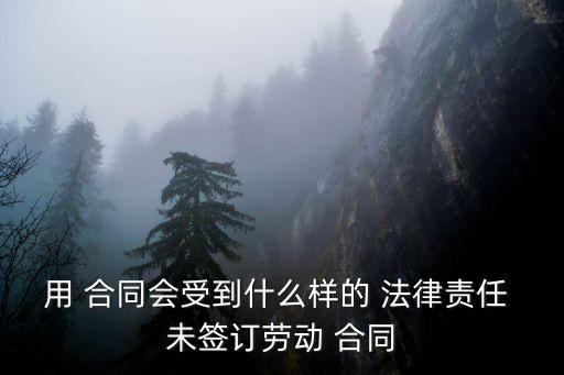 用 合同會(huì)受到什么樣的 法律責(zé)任 未簽訂勞動(dòng) 合同