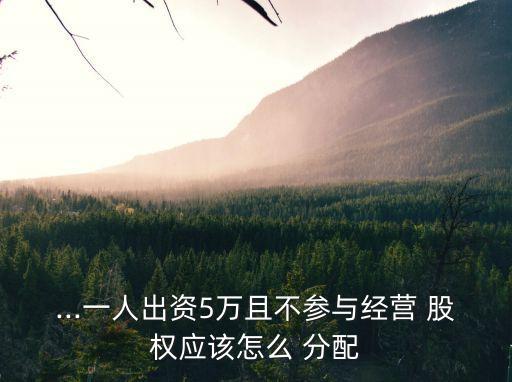 ...一人出資5萬且不參與經(jīng)營(yíng) 股權(quán)應(yīng)該怎么 分配