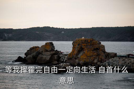 自首是什么意思,等我揮霍完自由 再向生活自首是什么意思