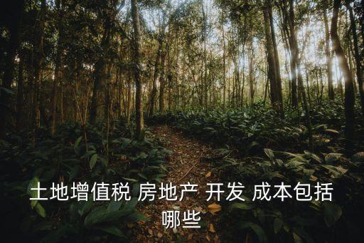 土地增值稅 房地產 開發(fā) 成本包括哪些