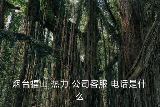 煙臺(tái)福山 熱力 公司客服 電話是什么