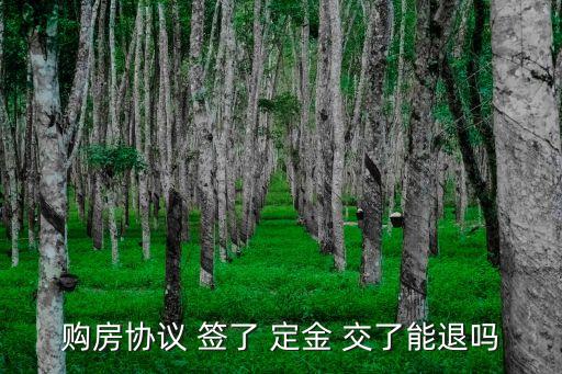 購房協(xié)議 簽了 定金 交了能退嗎