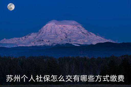 蘇州個人社保怎么交有哪些方式繳費