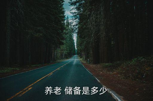 養(yǎng)老 儲備是多少