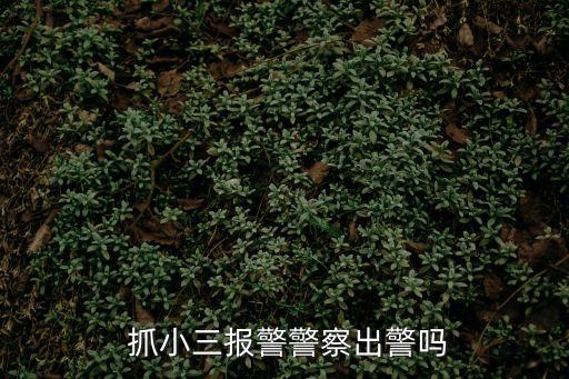  抓小三報警警察出警嗎