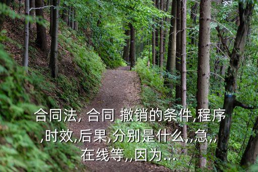 合同法可撤銷合同