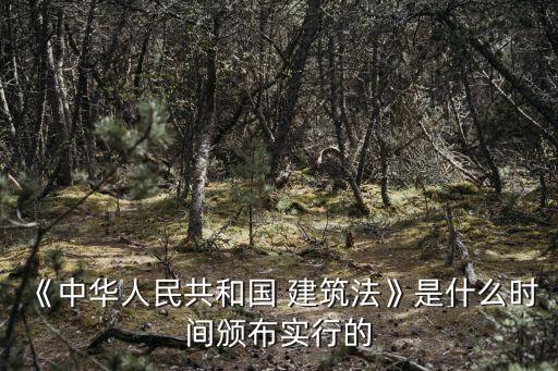《中華人民共和國 建筑法》是什么時(shí)間頒布實(shí)行的