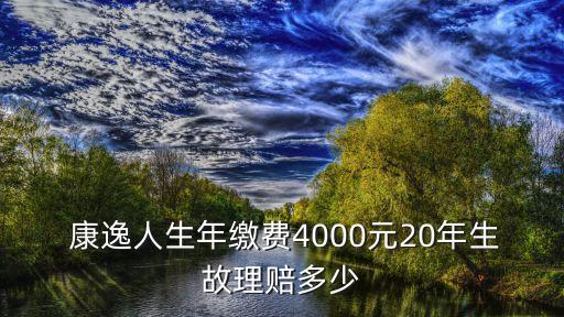 康逸