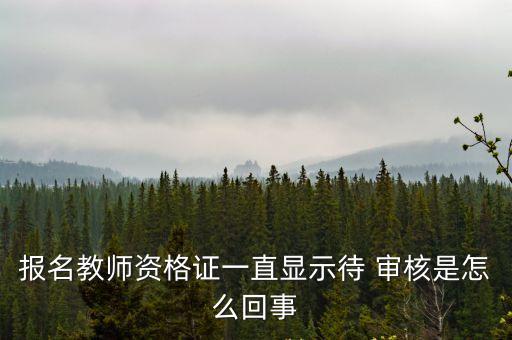 報名教師資格證一直顯示待 審核是怎么回事