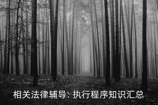 相關(guān)法律輔導(dǎo): 執(zhí)行程序知識匯總