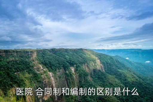醫(yī)院合同工合同