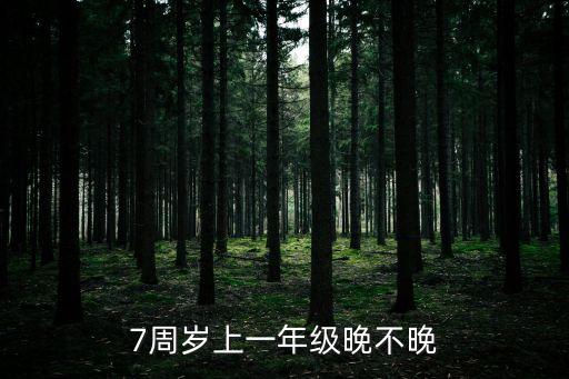 七歲上幾年級(jí),陪孩子度過小學(xué)六年級(jí)