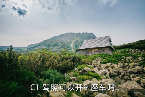 C1 駕照可以開9 座車嗎