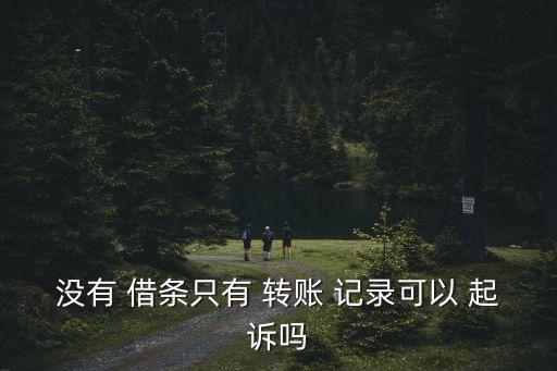 無借條有轉(zhuǎn)賬記錄如何起訴,憑微信聊天記錄起訴勝率多大