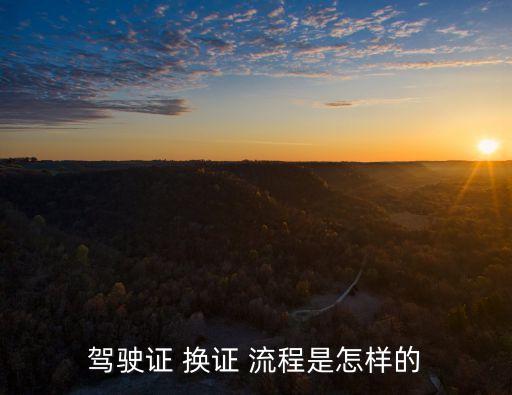 駕照換證流程,無(wú)人車管所駕照換證流程